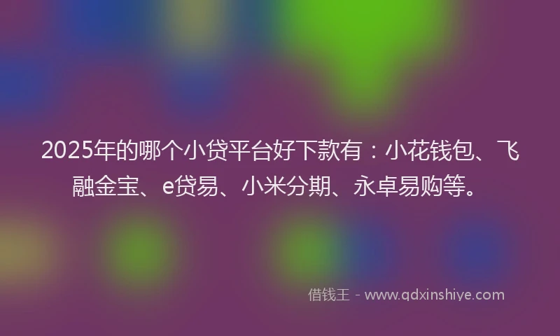 2025年的哪个小贷平台好下款有：小花钱包、飞融金宝、e贷易、小米分期、永卓易购等。