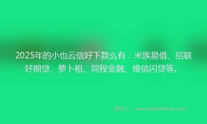 2025年的小也云信好下款么有：米族易借、招联好期贷、萝卜租、同程金融、维信闪贷等。