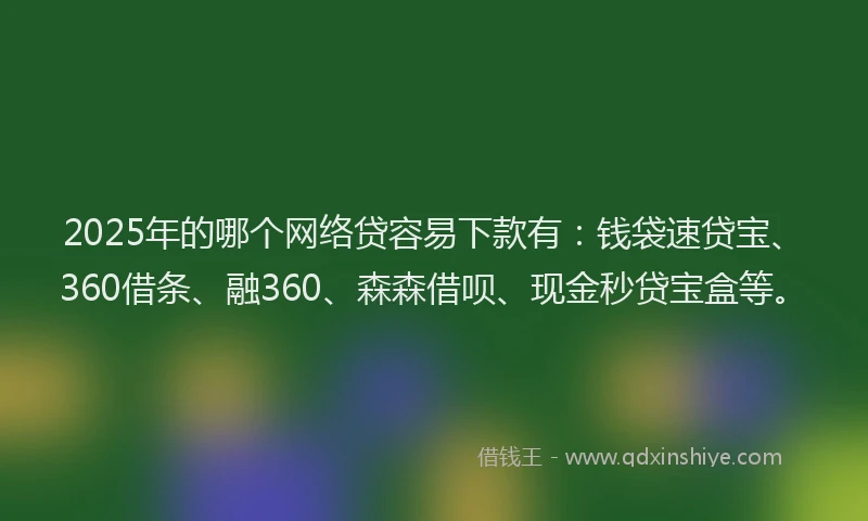 2025年的哪个网络贷容易下款有：钱袋速贷宝、360借条、融360、森森借呗、现金秒贷宝盒等。