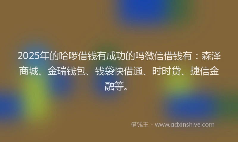 2025年的哈啰借钱有成功的吗微信借钱有：森泽商城、金瑞钱包、钱袋快借通、时时贷、捷信金融等。