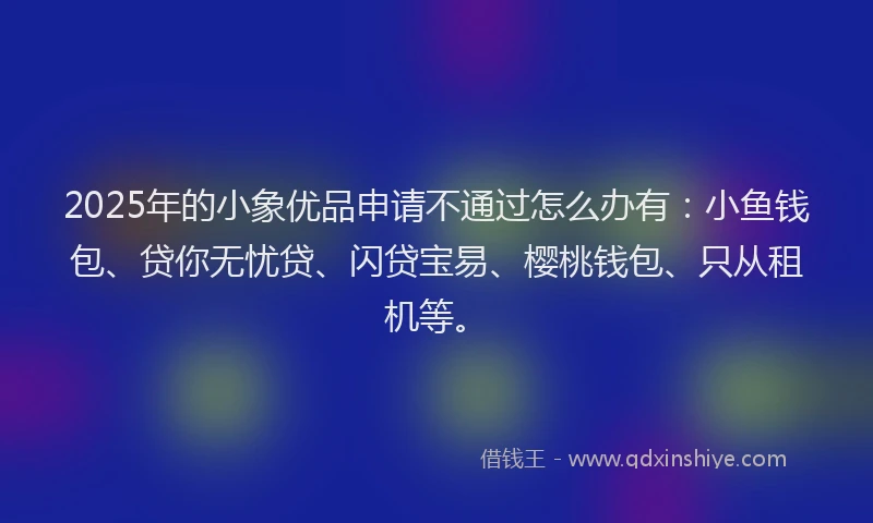 2025年的小象优品申请不通过怎么办有：小鱼钱包、贷你无忧贷、闪贷宝易、樱桃钱包、只从租机等。
