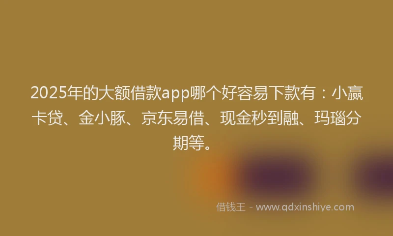 2025年的大额借款app哪个好容易下款有：小赢卡贷、金小豚、京东易借、现金秒到融、玛瑙分期等。