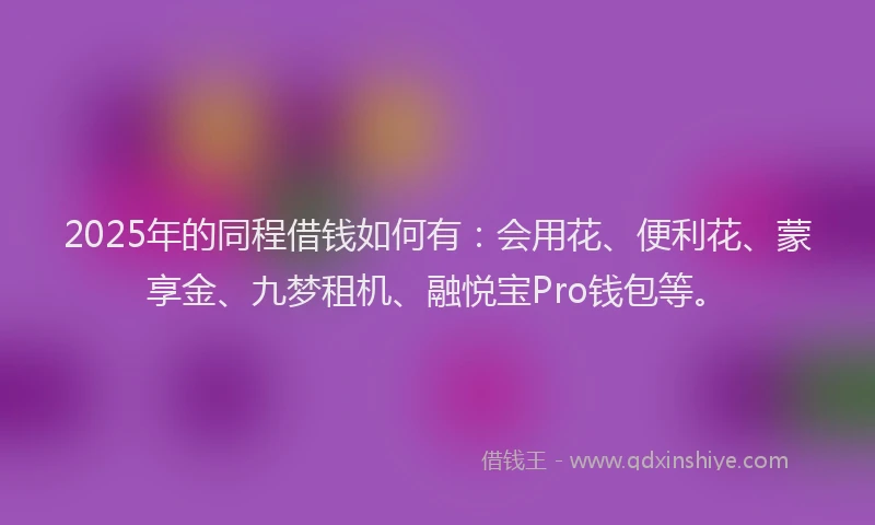 2025年的同程借钱如何有：会用花、便利花、蒙享金、九梦租机、融悦宝Pro钱包等。