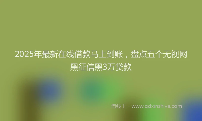 2025年最新在线借款马上到账，盘点五个无视网黑征信黑3万贷款