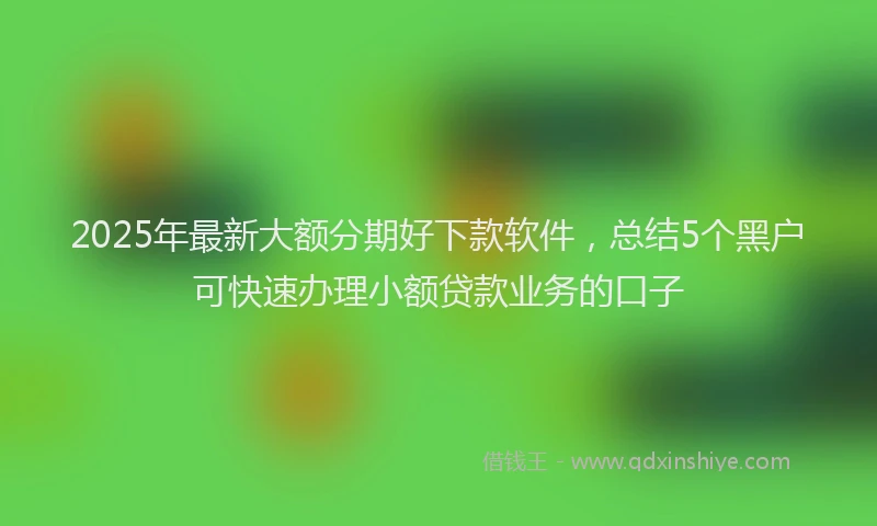 2025年最新大额分期好下款软件，总结5个黑户可快速办理小额贷款业务的口子