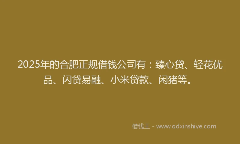 2025年的合肥正规借钱公司有：臻心贷、轻花优品、闪贷易融、小米贷款、闲猪等。