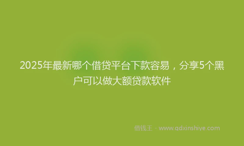 2025年最新哪个借贷平台下款容易，分享5个黑户可以做大额贷款软件