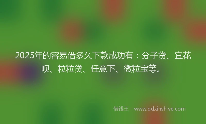 2025年的容易借多久下款成功有：分子贷、宜花呗、粒粒贷、任意下、微粒宝等。