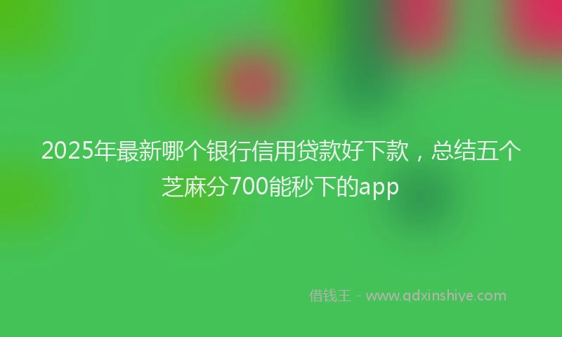 2025年最新哪个银行信用贷款好下款，总结五个芝麻分700能秒下的app