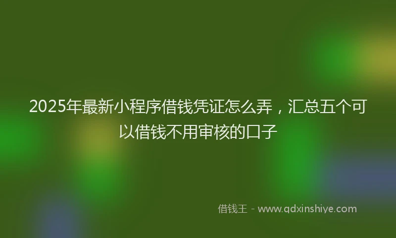 2025年最新小程序借钱凭证怎么弄，汇总五个可以借钱不用审核的口子