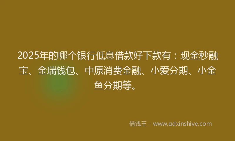 2025年的哪个银行低息借款好下款有：现金秒融宝、金瑞钱包、中原消费金融、小爱分期、小金鱼分期等。