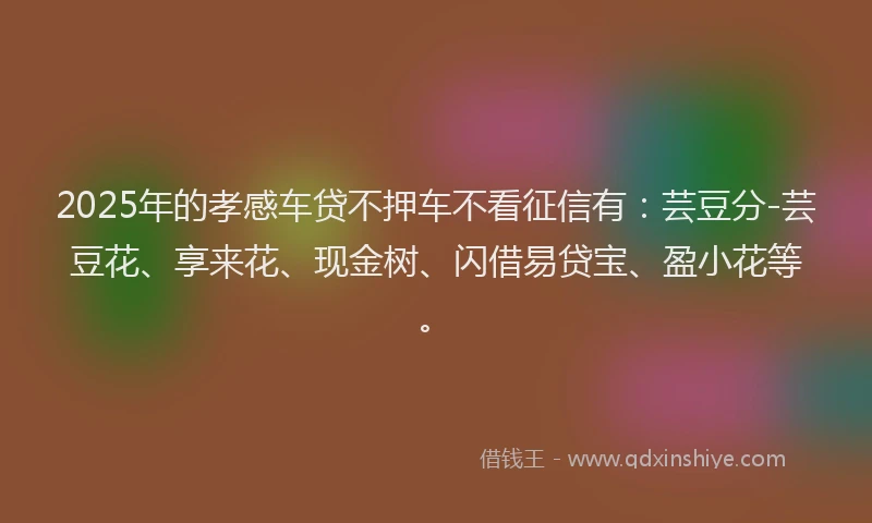 2025年的孝感车贷不押车不看征信有：芸豆分-芸豆花、享来花、现金树、闪借易贷宝、盈小花等。