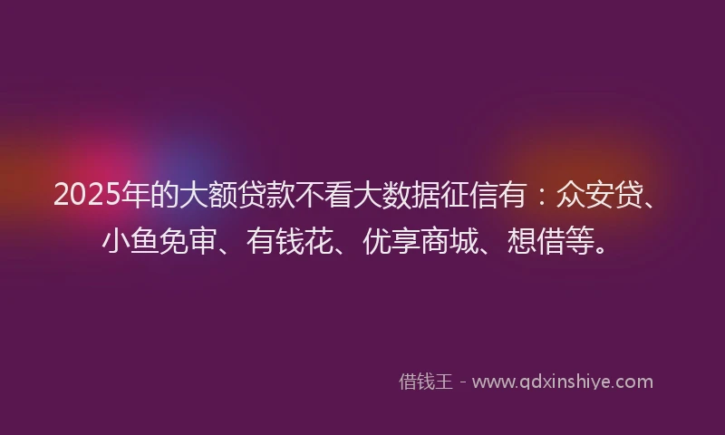 2025年的大额贷款不看大数据征信有：众安贷、小鱼免审、有钱花、优享商城、想借等。