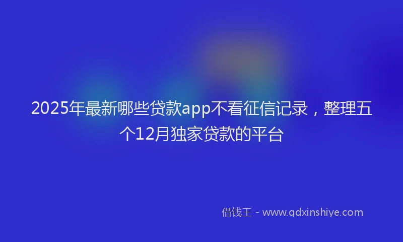 2025年最新哪些贷款app不看征信记录，整理五个12月独家贷款的平台