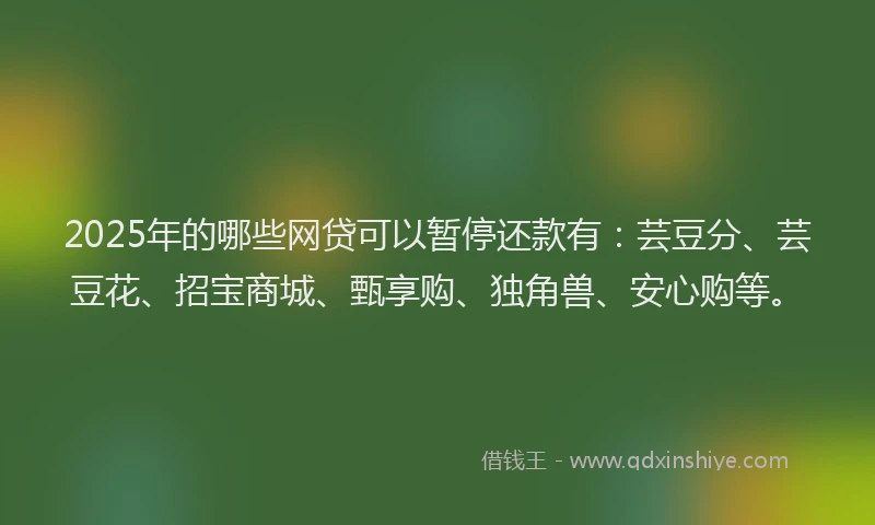 2025年的哪些网贷可以暂停还款有：芸豆分、芸豆花、招宝商城、甄享购、独角兽、安心购等。