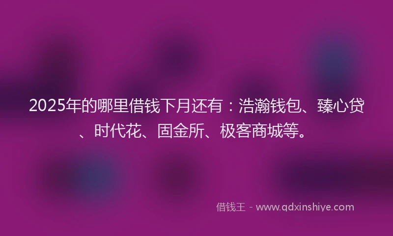 2025年的哪里借钱下月还有：浩瀚钱包、臻心贷、时代花、固金所、极客商城等。