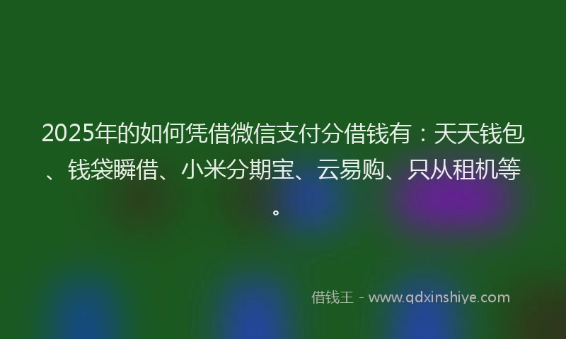 2025年的如何凭借微信支付分借钱有：天天钱包、钱袋瞬借、小米分期宝、云易购、只从租机等。