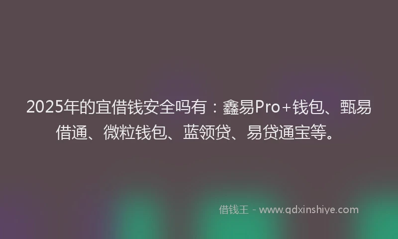 2025年的宜借钱安全吗有：鑫易Pro+钱包、甄易借通、微粒钱包、蓝领贷、易贷通宝等。