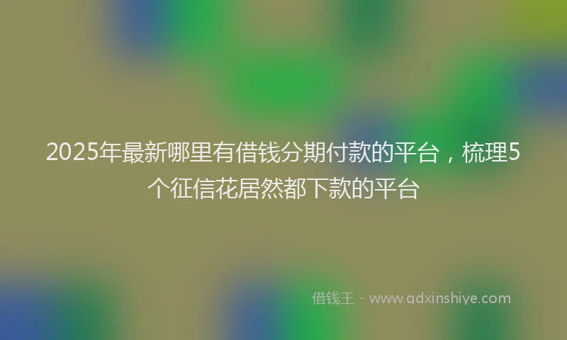 2025年最新哪里有借钱分期付款的平台，梳理5个征信花居然都下款的平台