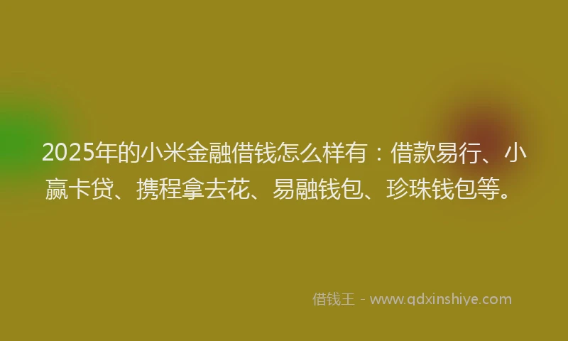 2025年的小米金融借钱怎么样有：借款易行、小赢卡贷、携程拿去花、易融钱包、珍珠钱包等。