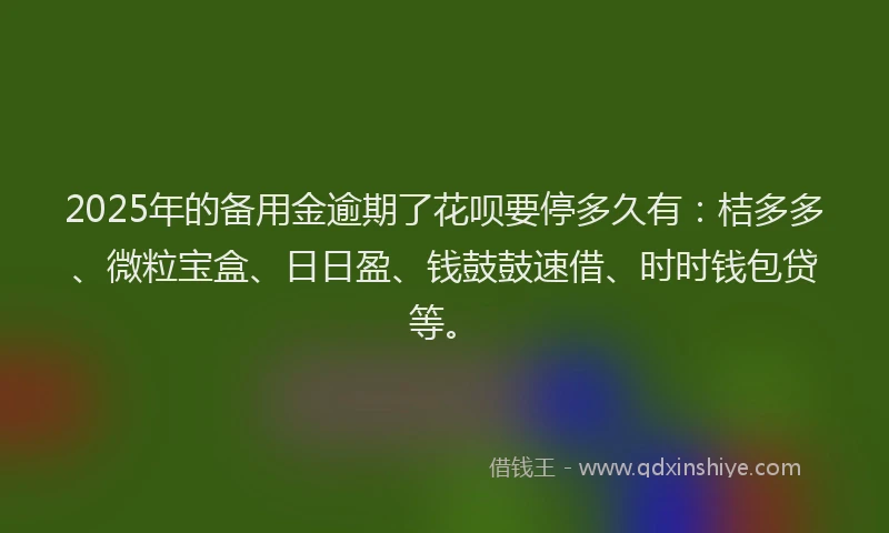 2025年的备用金逾期了花呗要停多久有：桔多多、微粒宝盒、日日盈、钱鼓鼓速借、时时钱包贷等。
