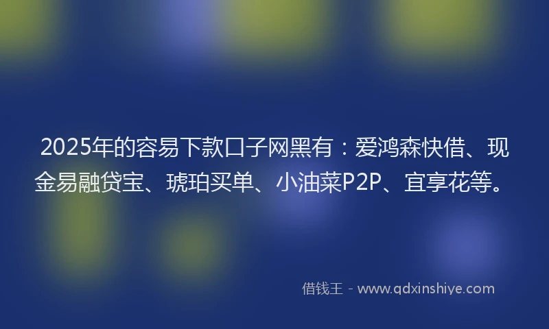 2025年的容易下款口子网黑有：爱鸿森快借、现金易融贷宝、琥珀买单、小油菜P2P、宜享花等。