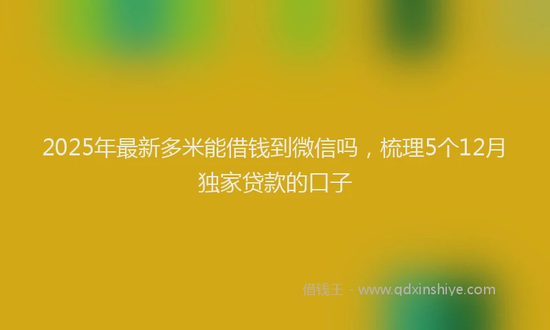 2025年最新多米能借钱到微信吗，梳理5个12月独家贷款的口子