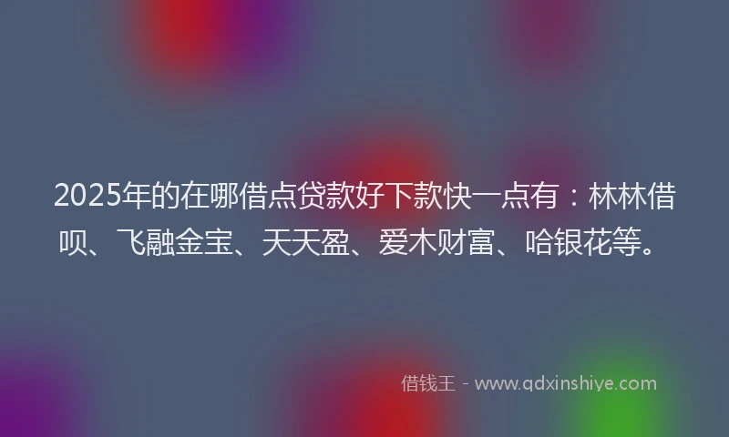 2025年的在哪借点贷款好下款快一点有：林林借呗、飞融金宝、天天盈、爱木财富、哈银花等。