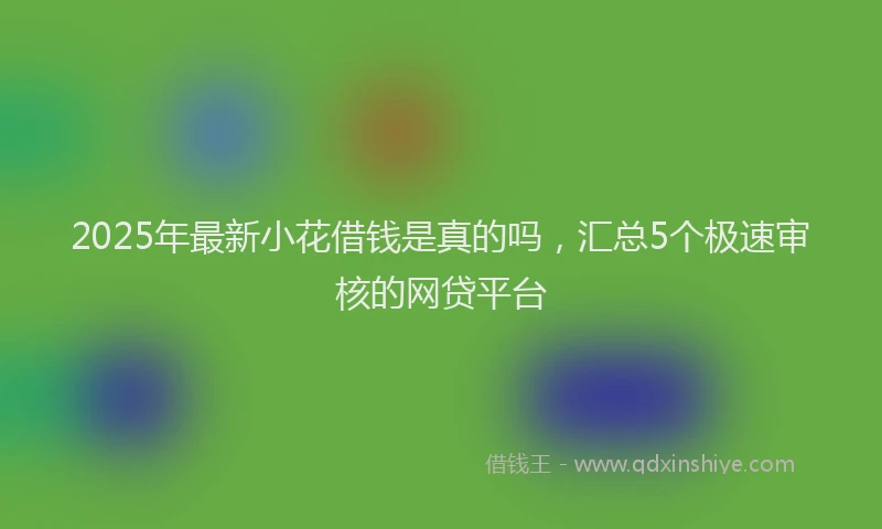 2025年最新小花借钱是真的吗，汇总5个极速审核的网贷平台