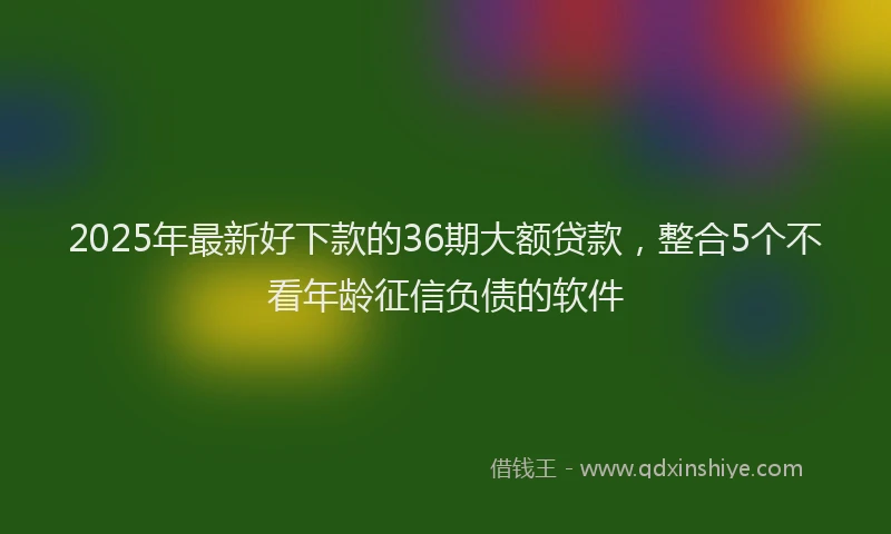 2025年最新好下款的36期大额贷款，整合5个不看年龄征信负债的软件