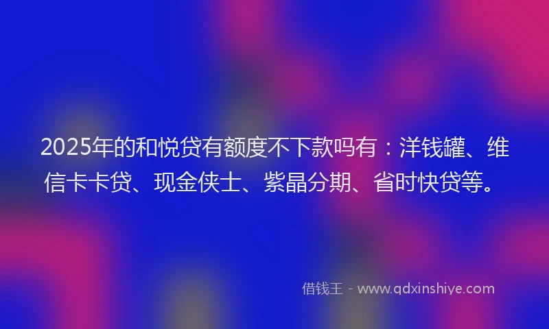 2025年的和悦贷有额度不下款吗有：洋钱罐、维信卡卡贷、现金侠士、紫晶分期、省时快贷等。