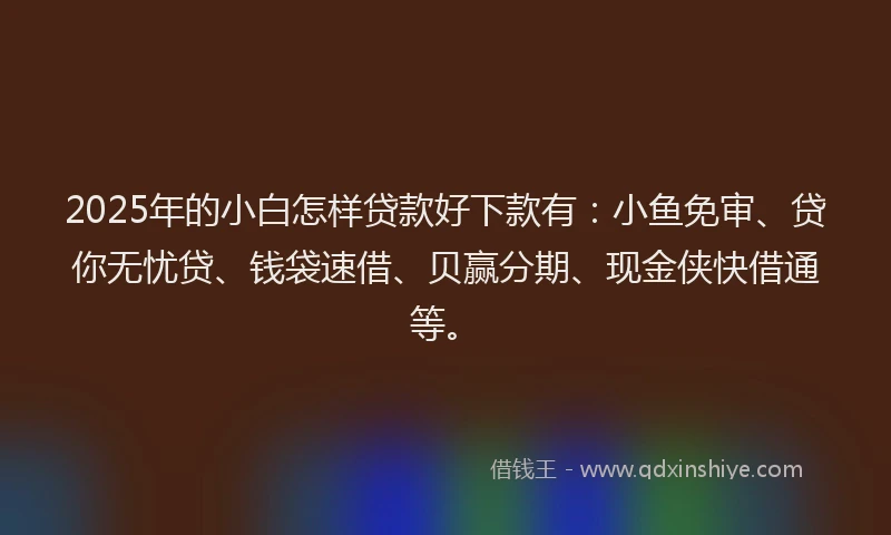 2025年的小白怎样贷款好下款有：小鱼免审、贷你无忧贷、钱袋速借、贝赢分期、现金侠快借通等。