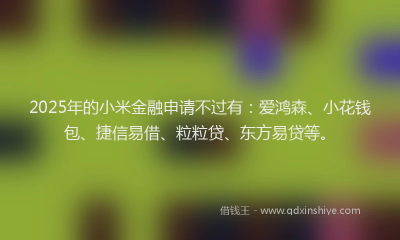 2025年的小米金融申请不过有：爱鸿森、小花钱包、捷信易借、粒粒贷、东方易贷等。