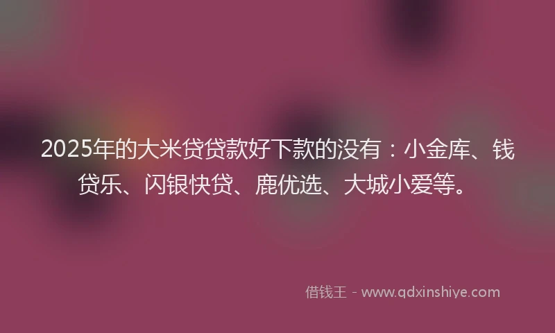 2025年的大米贷贷款好下款的没有：小金库、钱贷乐、闪银快贷、鹿优选、大城小爱等。