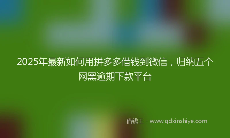 2025年最新如何用拼多多借钱到微信，归纳五个网黑逾期下款平台