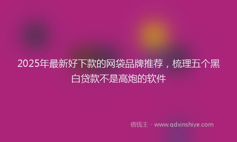 2025年最新好下款的网袋品牌推荐，梳理五个黑白贷款不是高炮的软件