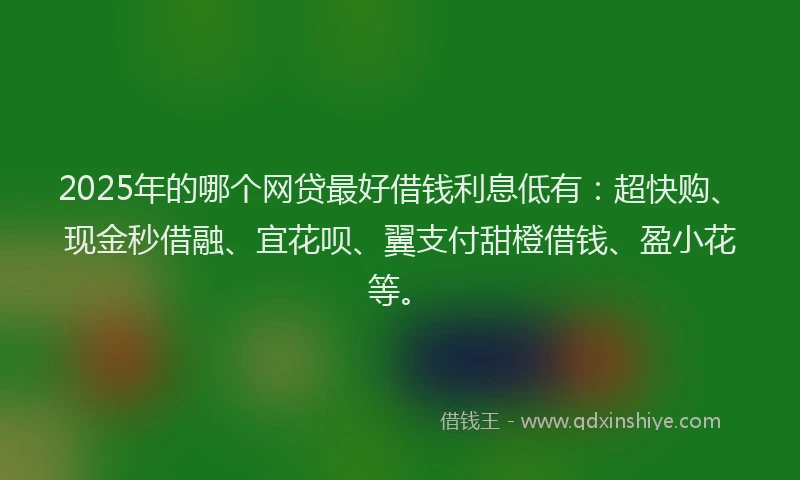 2025年的哪个网贷最好借钱利息低有：超快购、现金秒借融、宜花呗、翼支付甜橙借钱、盈小花等。