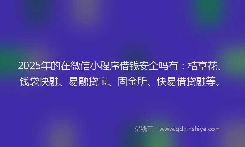 2025年的在微信小程序借钱安全吗有：桔享花、钱袋快融、易融贷宝、固金所、快易借贷融等。