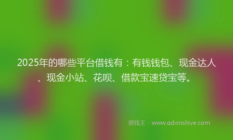 2025年的哪些平台借钱有：有钱钱包、现金达人、现金小站、花呗、借款宝速贷宝等。