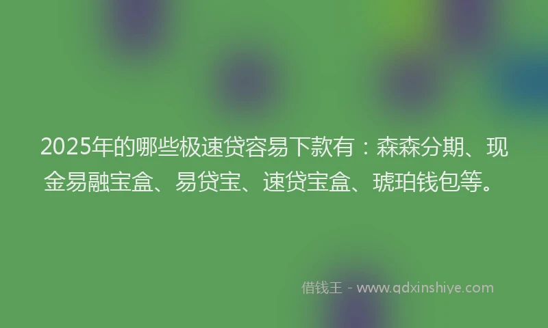 2025年的哪些极速贷容易下款有：森森分期、现金易融宝盒、易贷宝、速贷宝盒、琥珀钱包等。