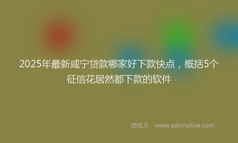 2025年最新咸宁贷款哪家好下款快点，概括5个征信花居然都下款的软件
