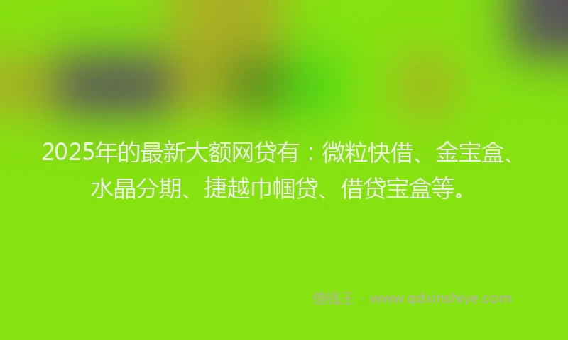 2025年的最新大额网贷有：微粒快借、金宝盒、水晶分期、捷越巾帼贷、借贷宝盒等。