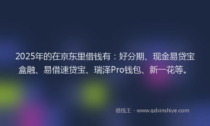 2025年的在京东里借钱有：好分期、现金易贷宝盒融、易借速贷宝、瑞泽Pro钱包、新一花等。