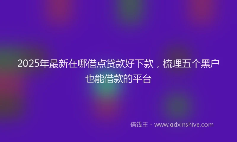 2025年最新在哪借点贷款好下款，梳理五个黑户也能借款的平台