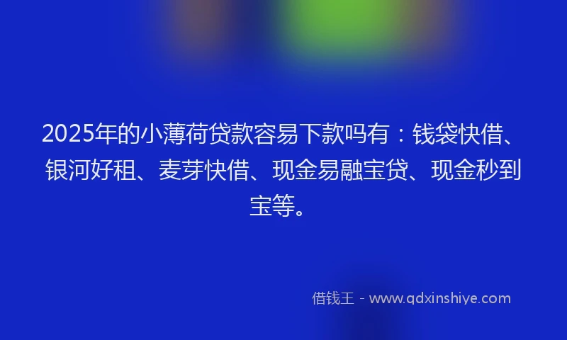 2025年的小薄荷贷款容易下款吗有：钱袋快借、银河好租、麦芽快借、现金易融宝贷、现金秒到宝等。