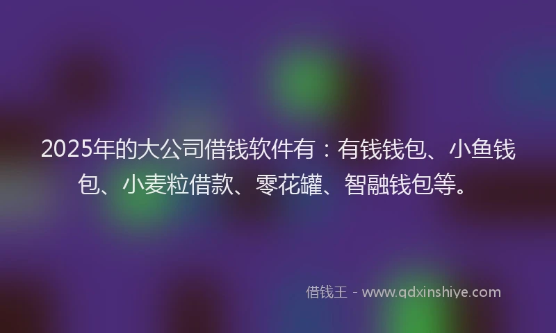 2025年的大公司借钱软件有：有钱钱包、小鱼钱包、小麦粒借款、零花罐、智融钱包等。