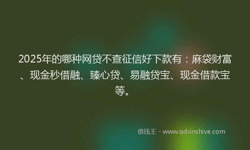 2025年的哪种网贷不查征信好下款有：麻袋财富、现金秒借融、臻心贷、易融贷宝、现金借款宝等。