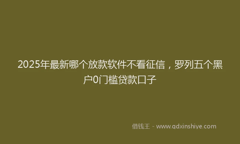 2025年最新哪个放款软件不看征信，罗列五个黑户0门槛贷款口子