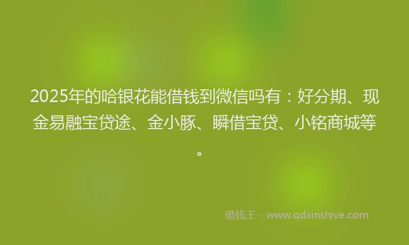 2025年的哈银花能借钱到微信吗有：好分期、现金易融宝贷途、金小豚、瞬借宝贷、小铭商城等。