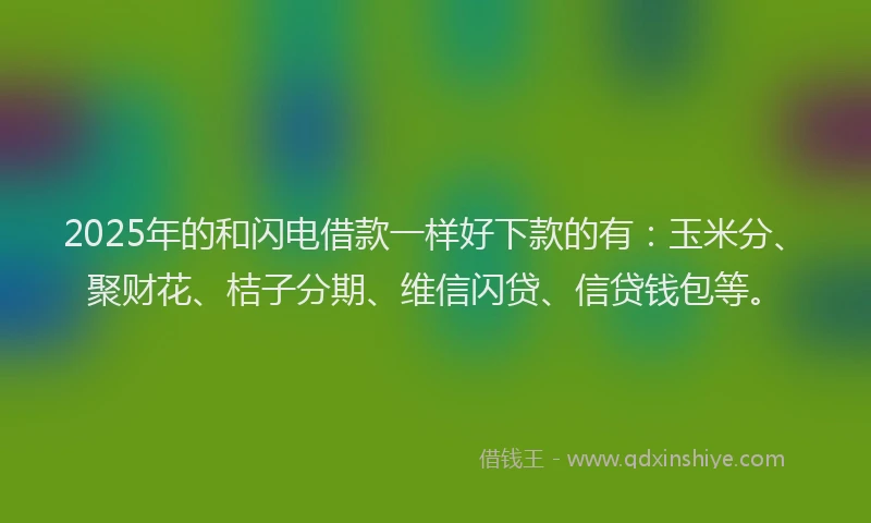 2025年的和闪电借款一样好下款的有：玉米分、聚财花、桔子分期、维信闪贷、信贷钱包等。